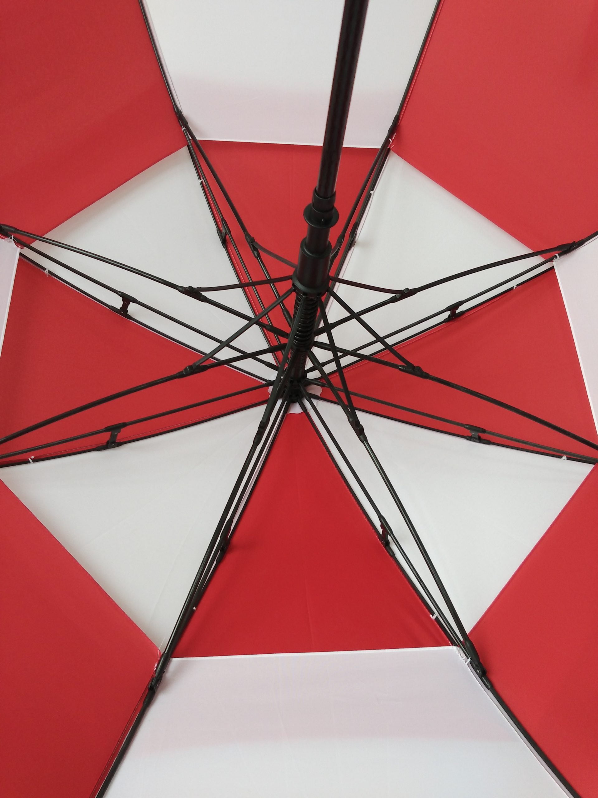 真正双层伞珠附图 (2)